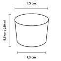 Vaso Chiquito/Zurito Plástico PS Transparentes 220ml (500 Uds)