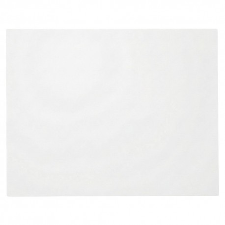 Papel Antigrasa Blanco 30x38cm (1.000 Uds)