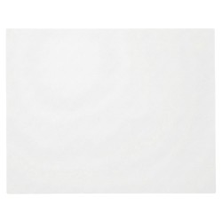 Papel Antigrasa Blanco 30x38cm (3.000 Uds)