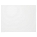Papel Antigrasa Blanco 30x38cm (3.000 Uds)