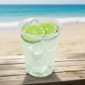 Vasos Biodegradables PLA Transparentes 250ml (50 Uds)