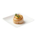 Mini Platos Biodegradables Degustación Cuadrados 6,5x6,5cm (1.000 Uds)