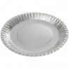Platos de Cartón Plateados 23cm (10 Uds)