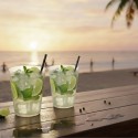 Vasos de Plástico PP Sidra "Irrompibles" 480ml (20 Uds)