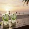 Vasos de Plástico PP Sidra "Irrompibles" 480ml (480 Uds)