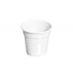 Vasos de Plástico PP Blancos 80ml (100 Uds)