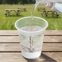 Vasos Biodegradables PLA 220ml Transparentes (50 Uds)
