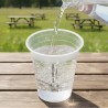 Vasos Biodegradables PLA 220ml Transparentes (50 Uds)
