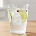 Vasos de Plástico PS Sidra  Transparentes 500ml (500 Uds)