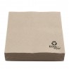 Servilletas Papel Ecológicas 30x30cm (100 Uds)