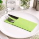 Servilletas Canguro Papel Punta-Punta 40x40cm Verde Pistacho (30 Uds)