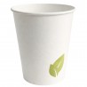 Vasos de Cartón Diseño Hojas 240ml Ø8cm (50 Uds)