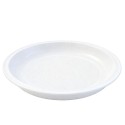 Platos de Plástico 25cm (25 Uds) 