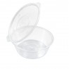 Salseras con Tapa Bisagra Plástico PP Reutilizables 60cc (50 Uds)