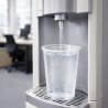 Vasos Biodegradables PLA Transparentes 200ml (50 Uds)