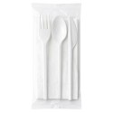  Set de Cubiertos, Tenedor, Cuchara, Cuchillo y Servilleta (500 Uds) 