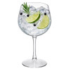 Copas Balón Gin Tonic Reutilizables Plástico Duro Tritán 700ml (8 Uds)
