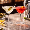 Copas Cocktail Martini Reutilizables Plástico Duro Tritán 300ml (4 Uds)