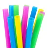 Pajitas de Plástico Reutilizables Extra Gruesas Colores Ø10mm x 21cm (25 Uds)