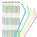 Pajitas Flexibles de Plástico PP Reutilizables Enfundadas Colores Ø5mm x 21cm (100 Uds)