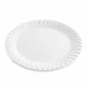 Platos Biodegradables de Cartón Blanco 23cm (500 Uds)