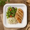 Platos Biodegradables de Cartón Blanco Cuadrados 23cm (500 Uds)