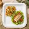 Platos Biodegradables de Cartón Blanco Cuadrados 26cm (250 Uds)