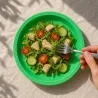 Platos Biodegradables de Cartón Verde 20,5cm (10 Uds)